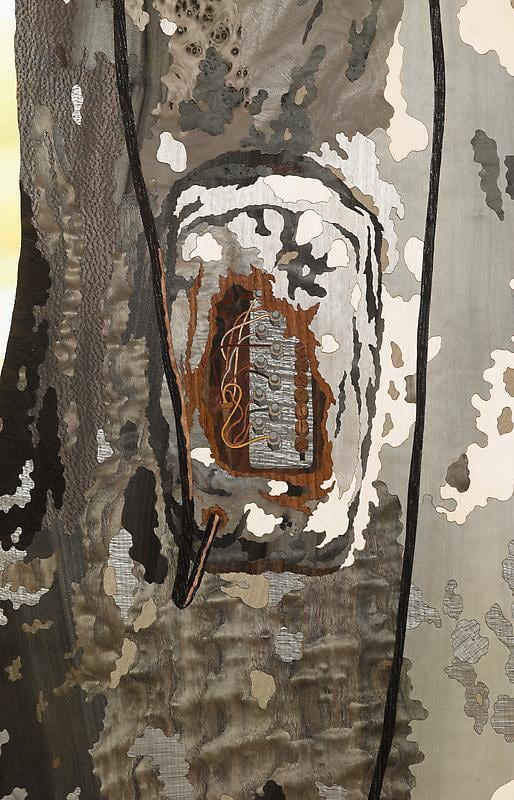 Detail of ALISON ELIZABETH TAYLOR's Van Cortlandt, 2013