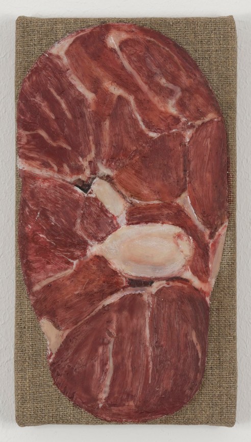 realistic piece of meat