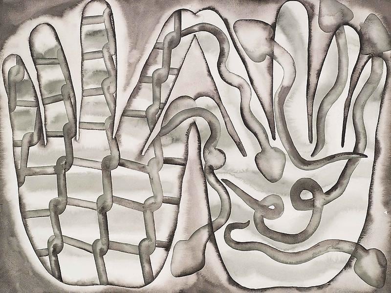 hands with a net and a snake pattern