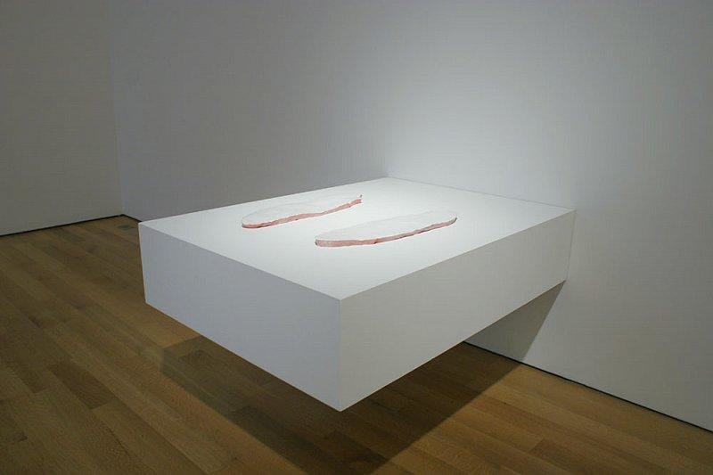 White, oval parts laying flat on a wall shelf