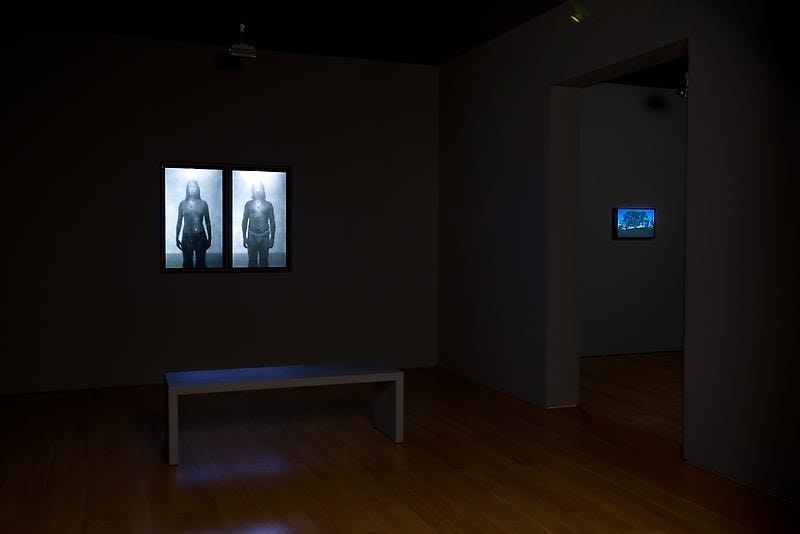 installation view