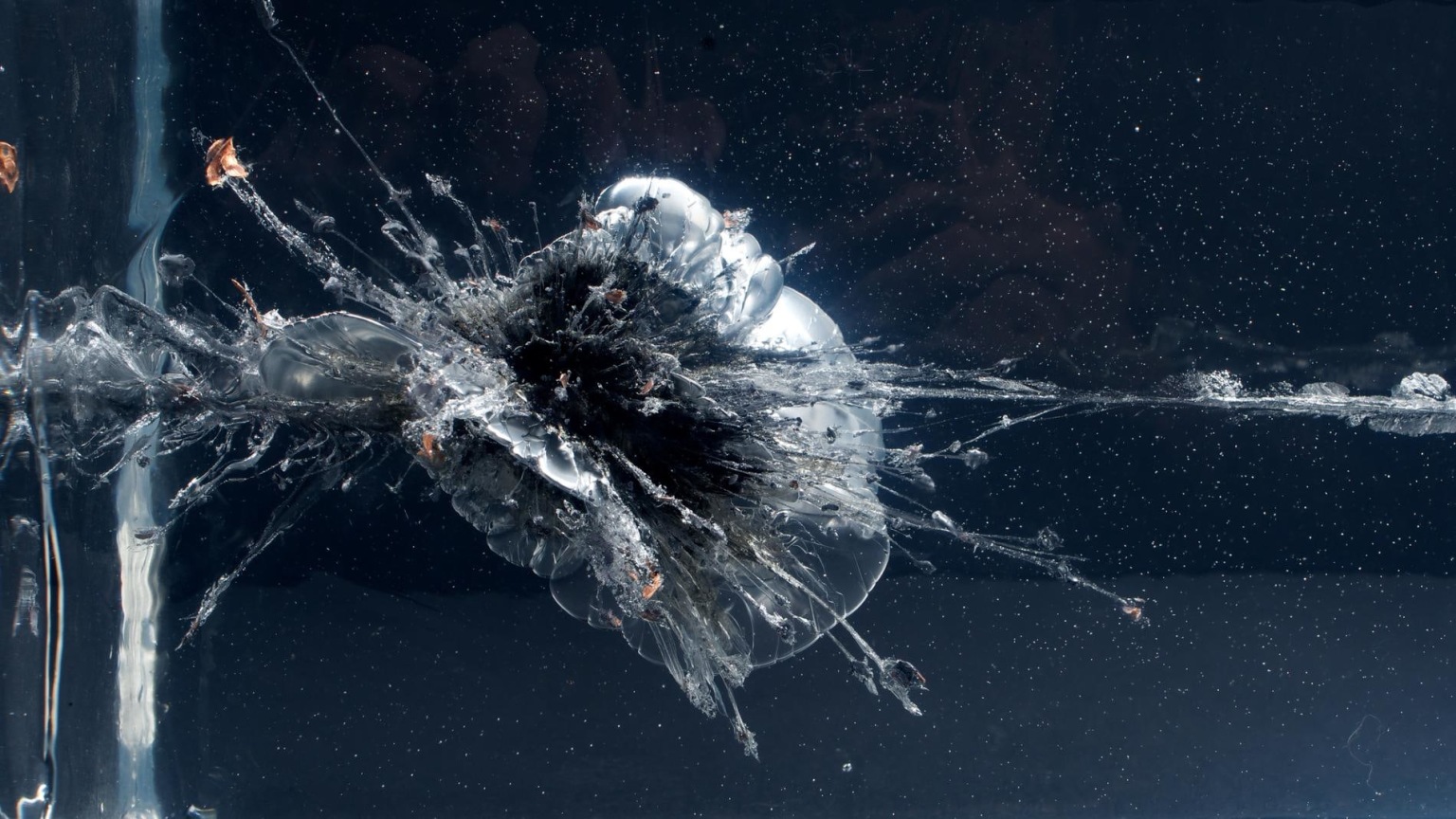 Detail of THE PROPELLER GROUP's AK47 vs. M16, 2015