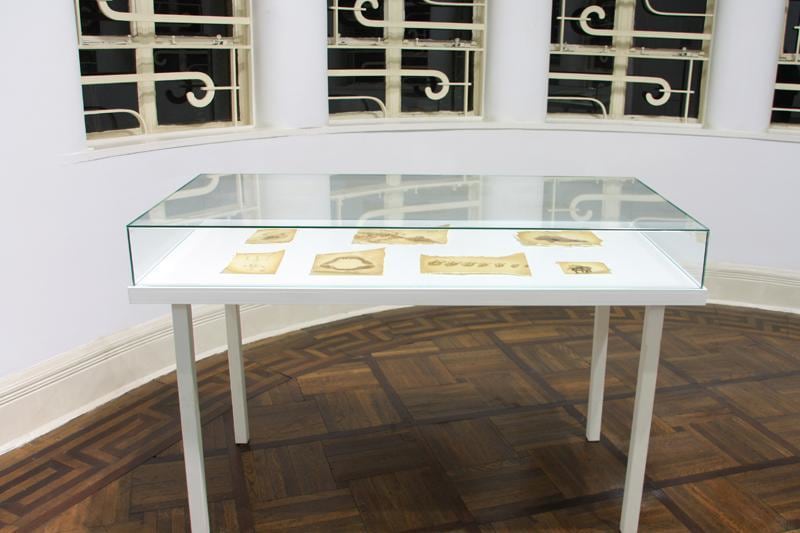 installation view of several artworks