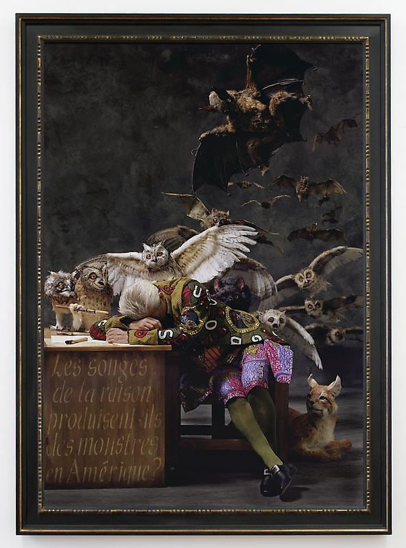 man fallen asleep at his desk with owls and bats emerging from behind