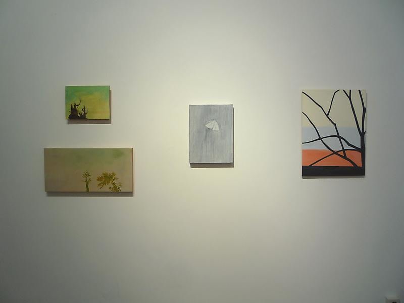 installation view of several artworks