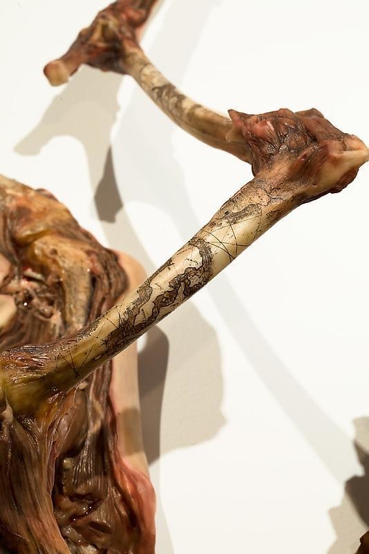 Detail of ERICK SWENSON's Ne Plus Ultra, 2010