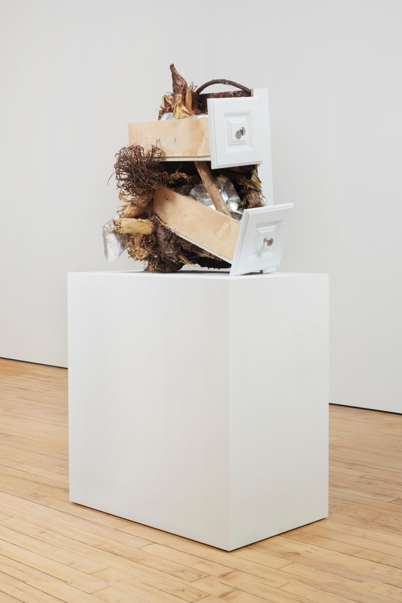 Image of BRANDON NDIFE's Evolution of a Corn Chip, 2021