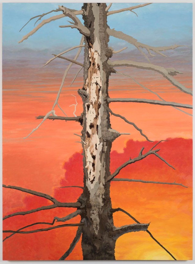 Image of ALISON ELIZABETH TAYLOR's No Side to Fall In,&nbsp;2015