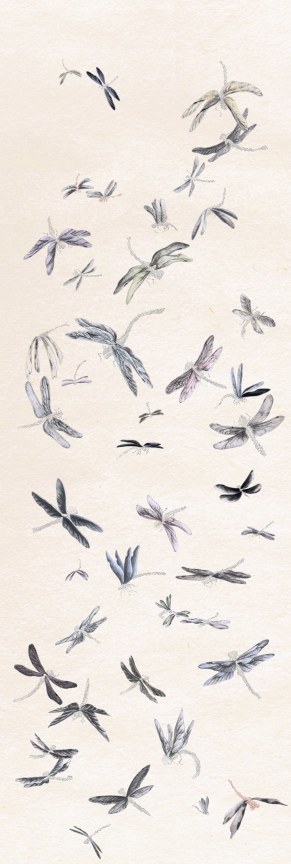 image of Tabaimo's Chirping, 2016