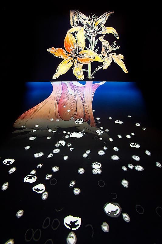 video projection spanning the wall and floor