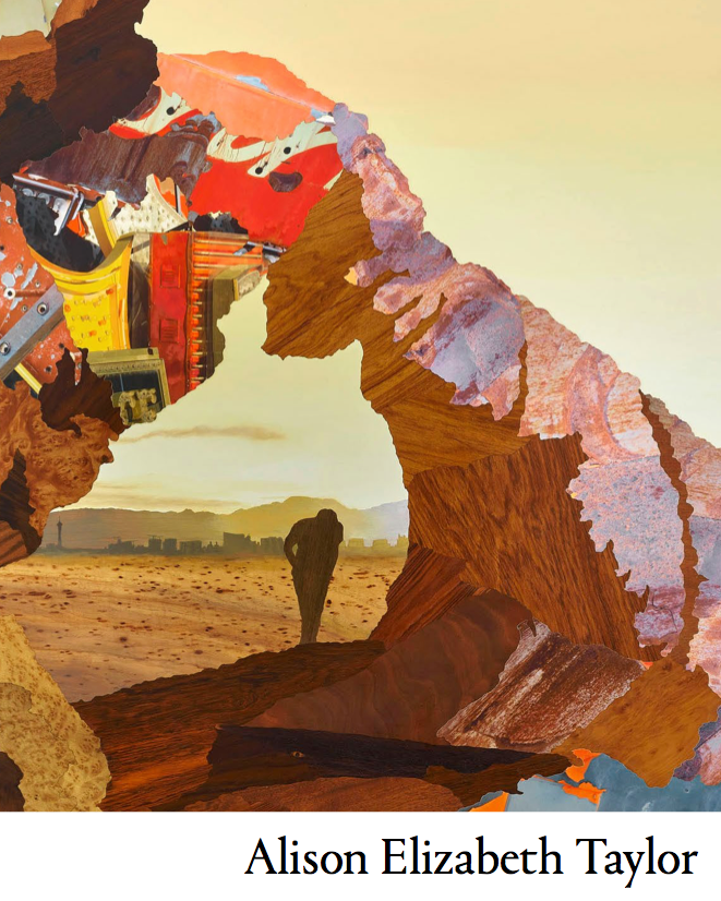 Alison Elizabeth Taylor: The Backwards Forward