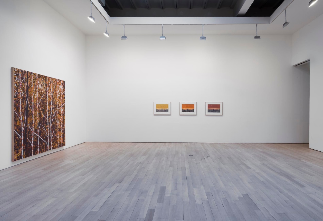 installation view of several artworks