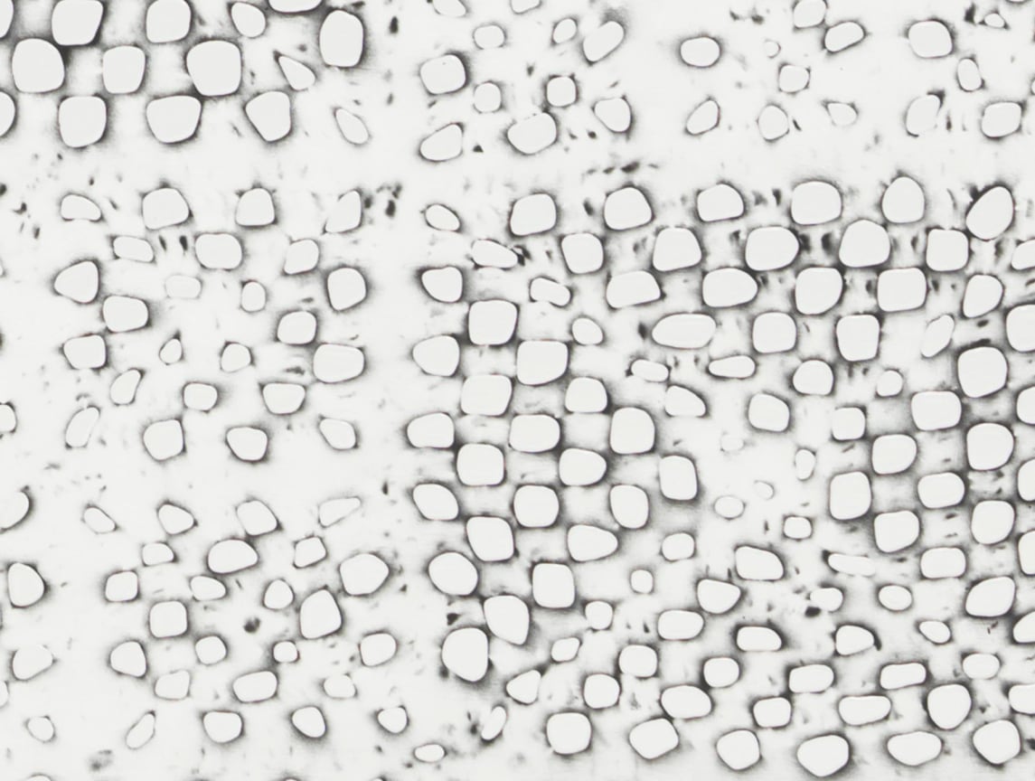 pattern of holes that look burnt in