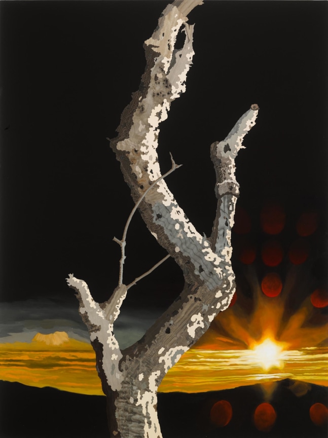 image of ALISON ELIZABETH TAYLOR's Transparent Eye,&nbsp;2013