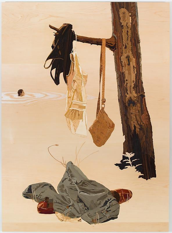 Image of ALISON ELIZABETH TAYLOR's Into the Wild, 2012