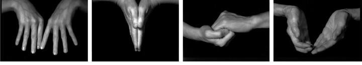 Image of BILL VIOLA's Four Hands, 2001