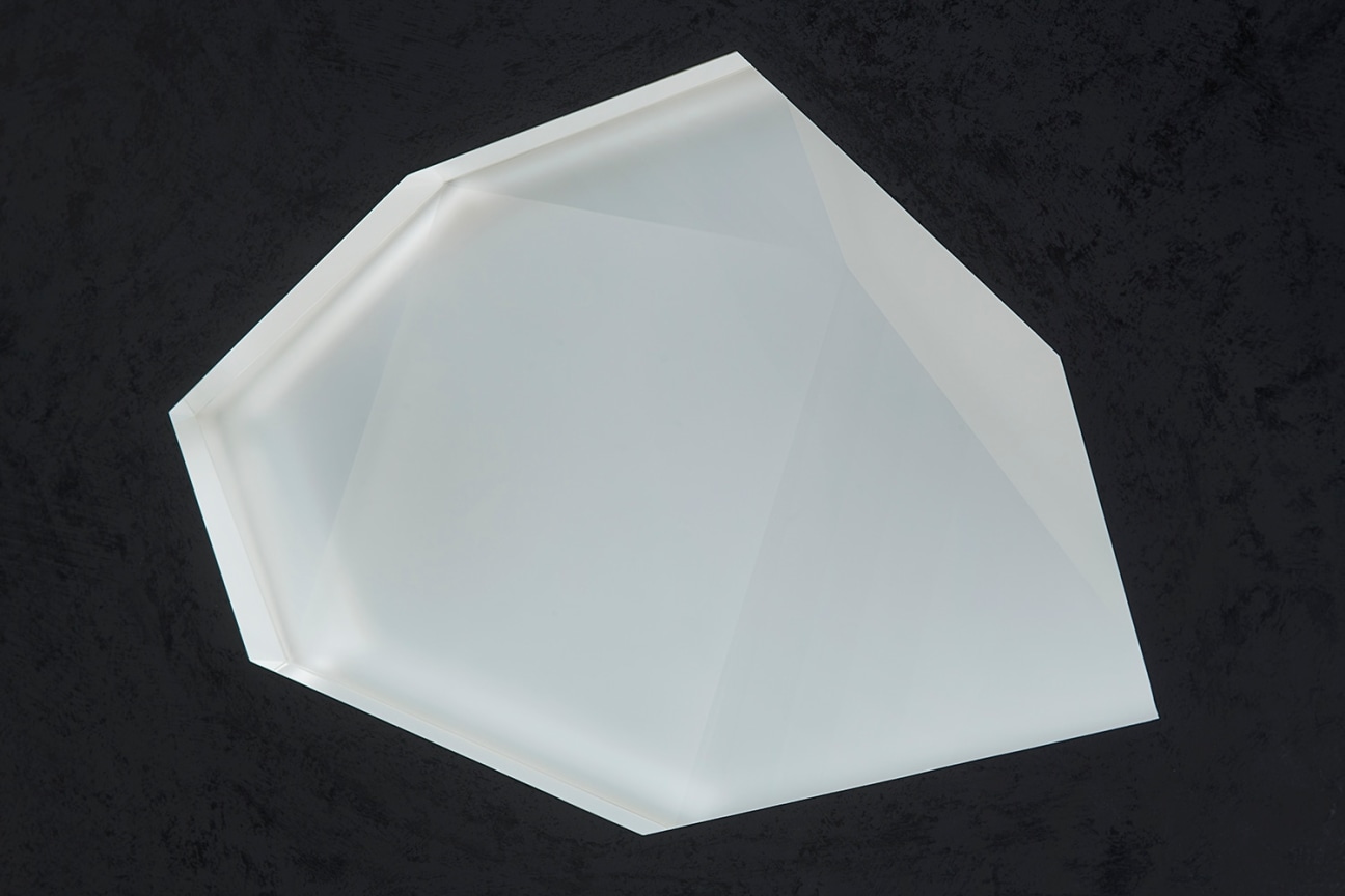 Image of JOSIAH MCELHENY's Projection into Another Future (Sphenomegacorona)&nbsp;(detail), 2023