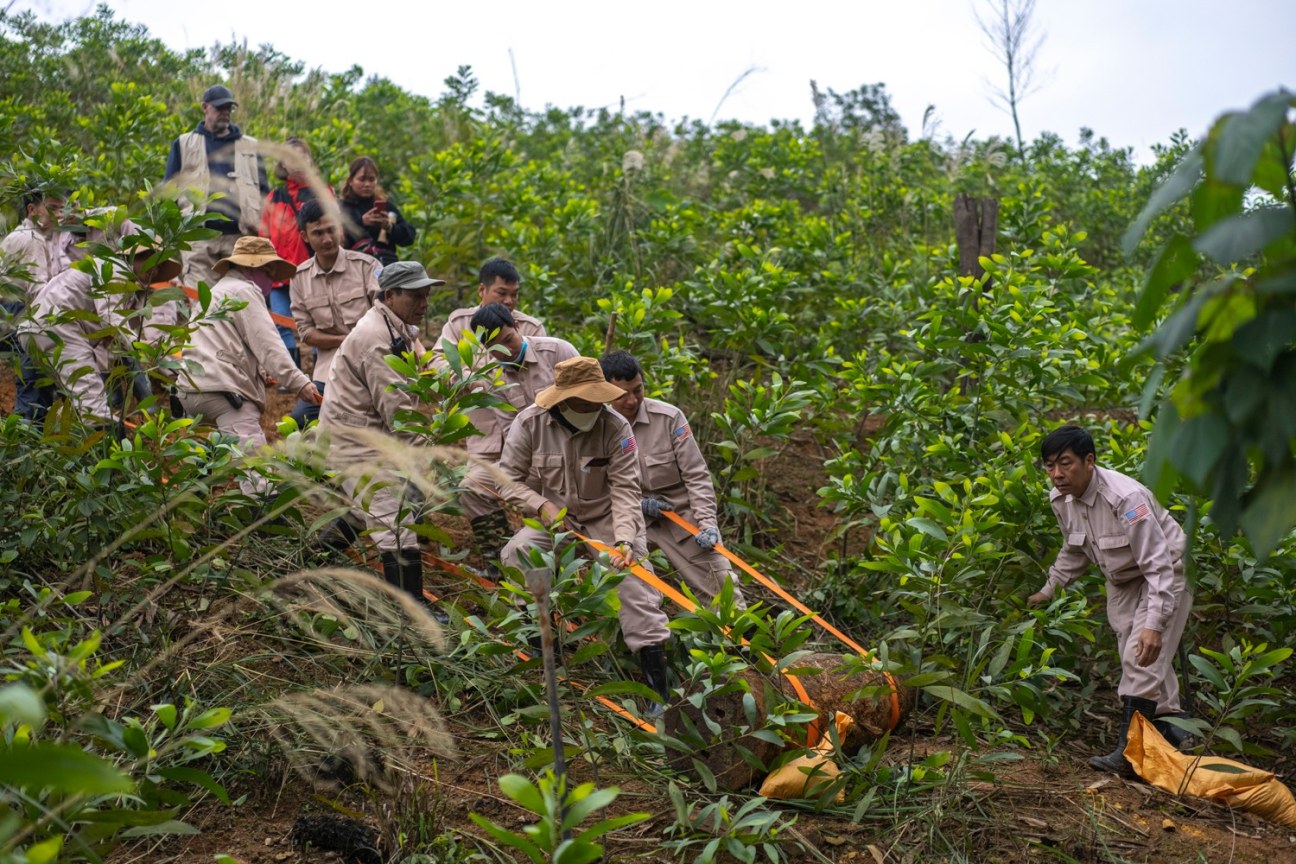 gardeners tending to a field