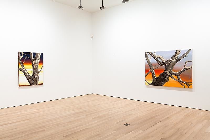 installation view of two artworks