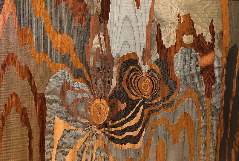 Detail of ALISON ELIZABETH TAYLOR's Silver Fox, 2013