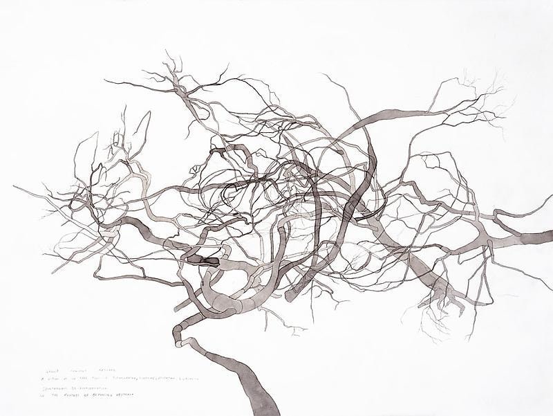 Image of ROXY PAINE's Drawing for Maelstrom, 2008