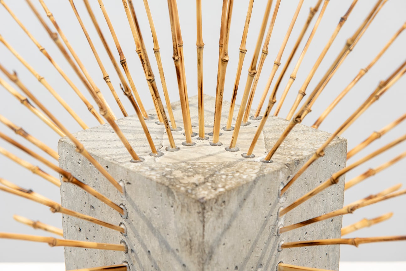 bamboo rods emerging from a cube