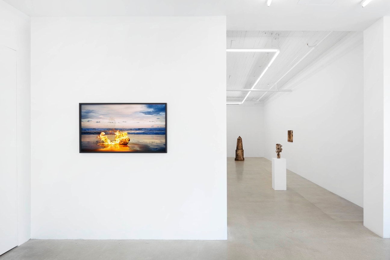 installation view of tuan andrew nguyen's exhibition A Lotus in a Sea of Fire, February 28 - May 3, 2020