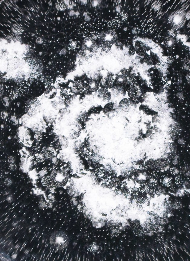 Detail of JOSIAH MCELHENY's Observation Night Three, 2019