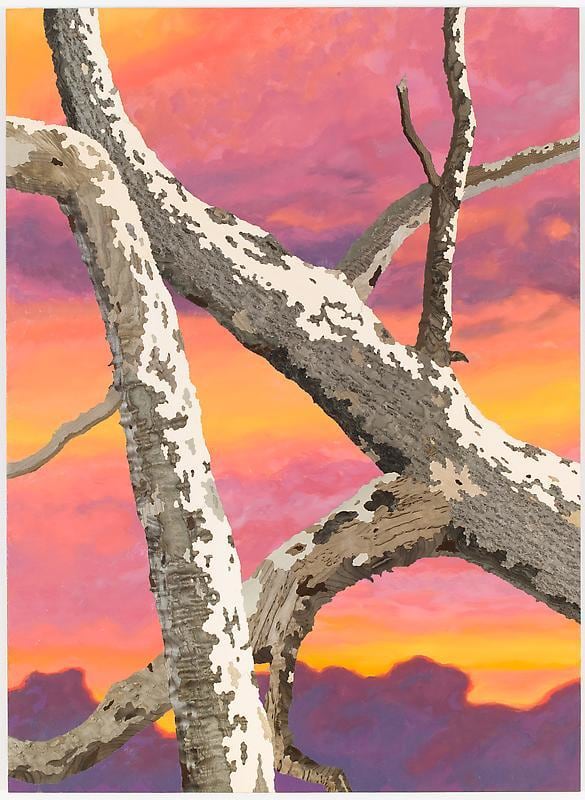 Image of ALISON ELIZABETH TAYLOR's Cloud 10, 2012