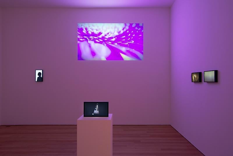 installation of several videos