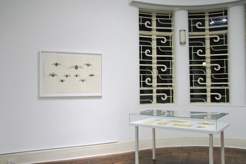 installation view of several artworks