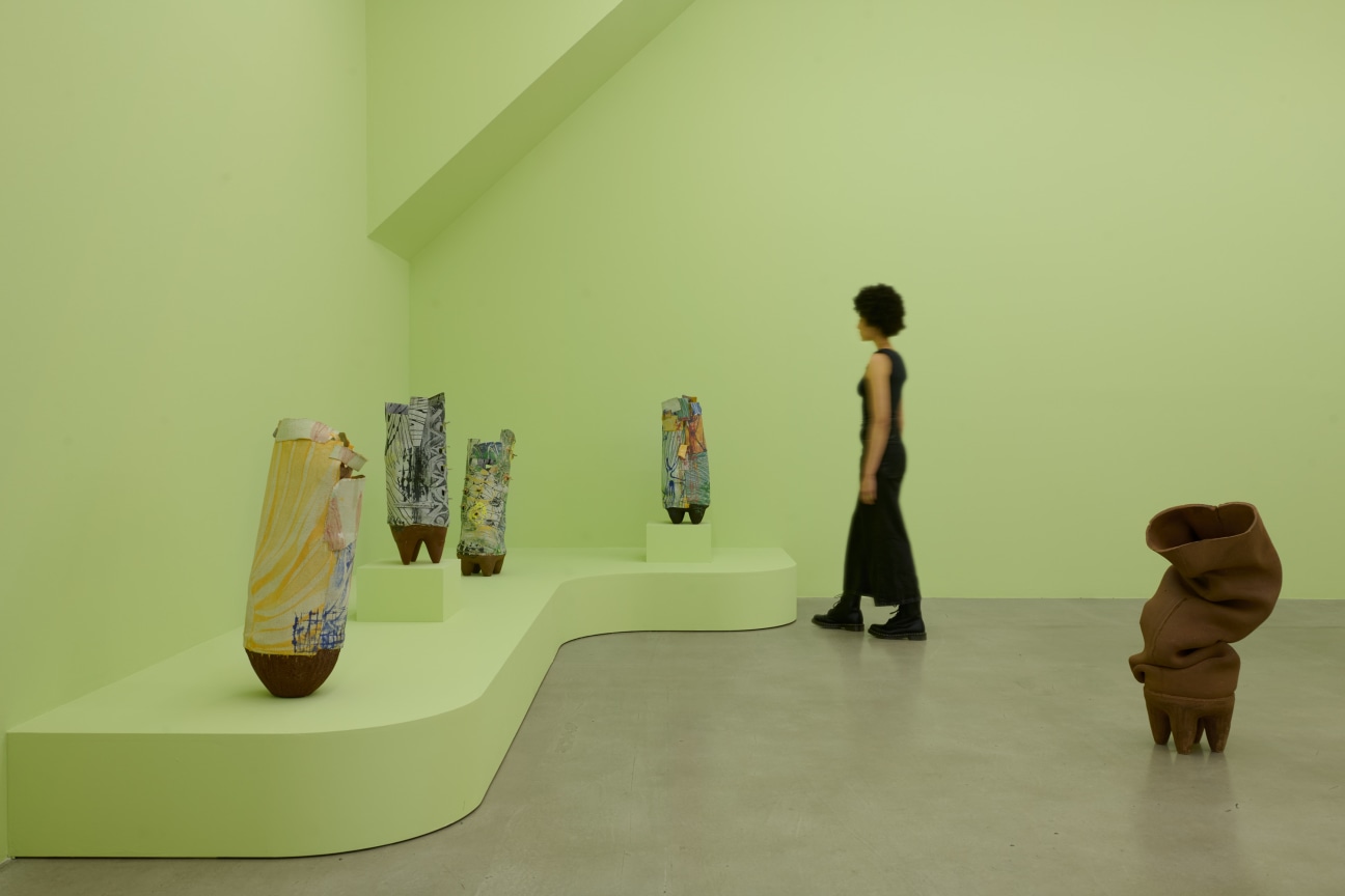 Installation view, Ranti Bam,&nbsp;Anima, James Cohan, 291 Grand St, New York, NY, May 17 - July 26, 2024