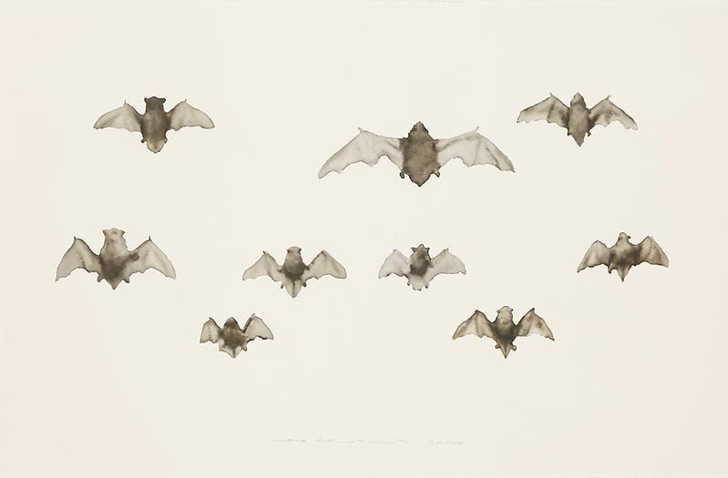 Image of GUO HONGWEI's 郭鸿蔚 Still Life #1 生物 #1, 2010