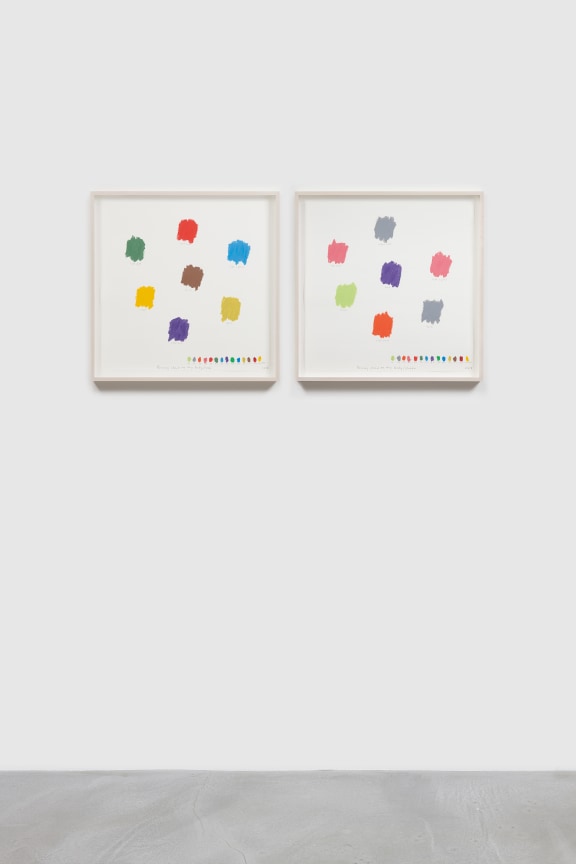 Image of SPENCER FINCH's &ldquo;As Blind Men learn the sun&rdquo; (passing cloud), 2018