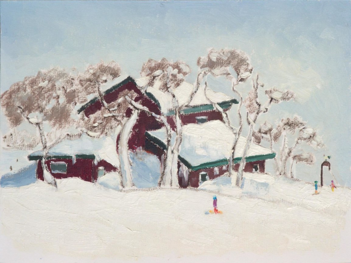 dark purple house with green roofs covered in snow