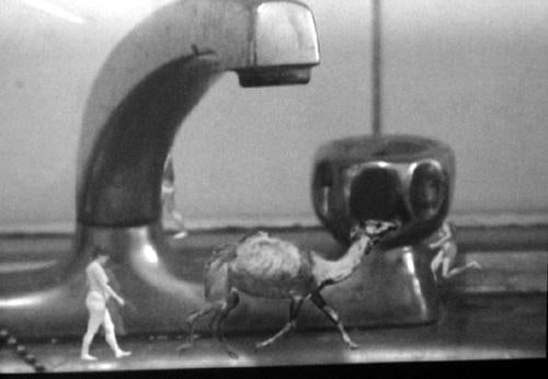 tiny camel and tiny man under a faucet