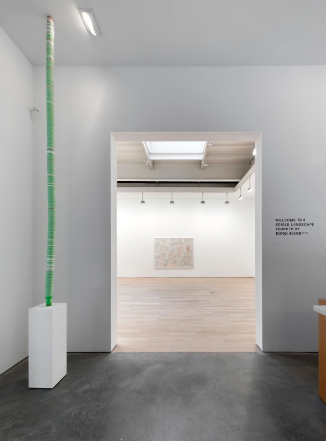 installation view of exhibition entrance