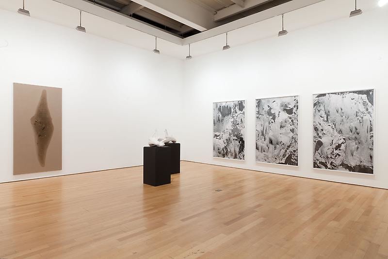 Installation view of several artworks