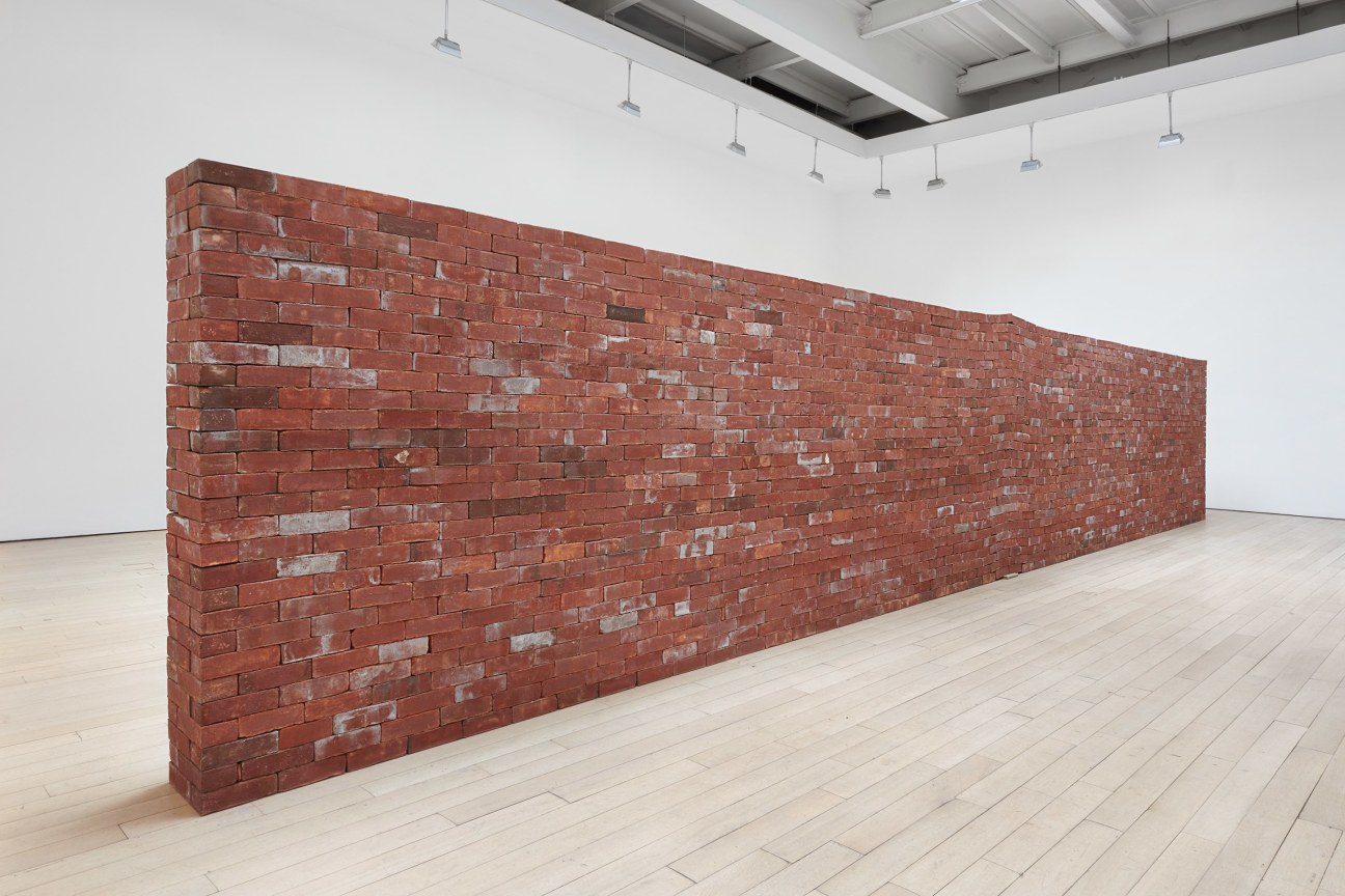 Image of JORGE M&Eacute;NDEZ BLAKE's Amerika, 2019