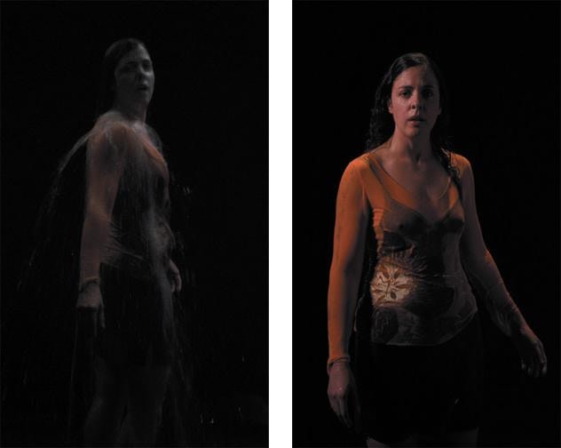 Image of BILL VIOLA's Ocean Without a Shore,&nbsp;2007