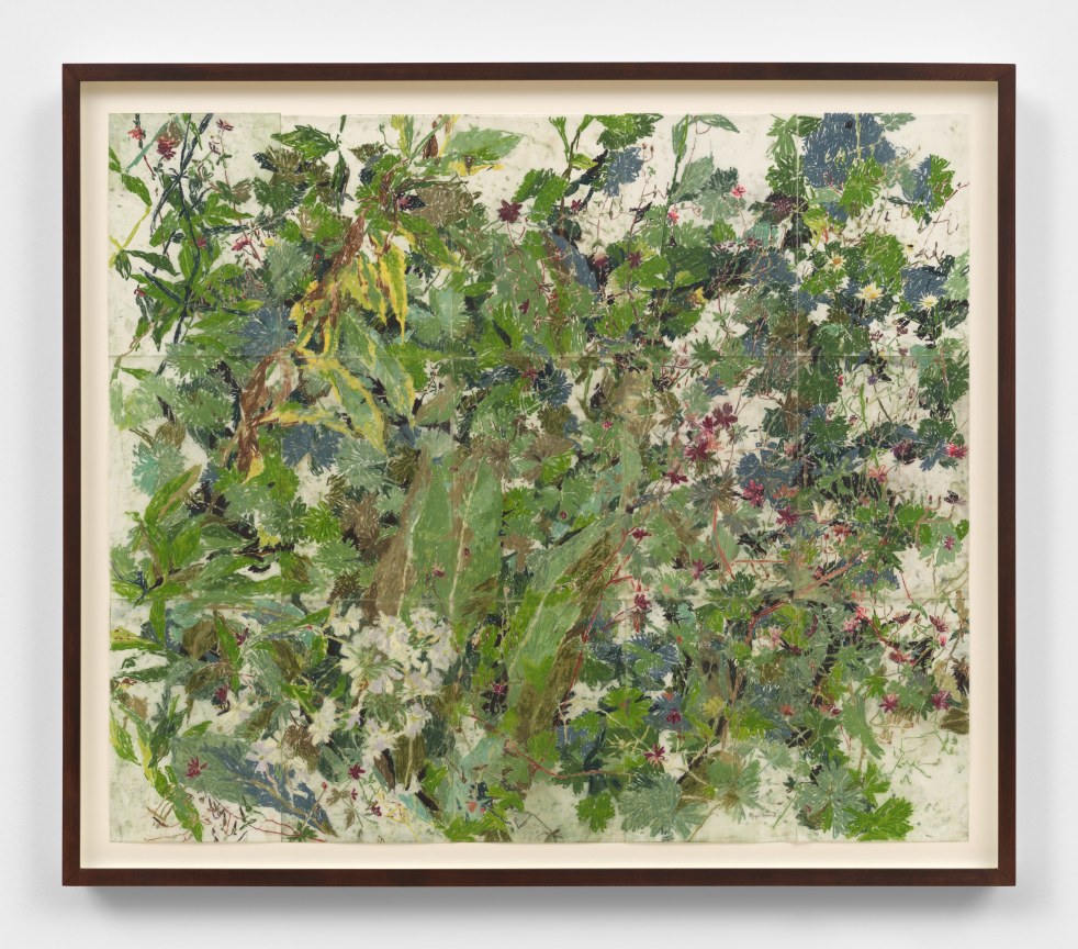 Image of TYGA HELME's There was a garden, 2023