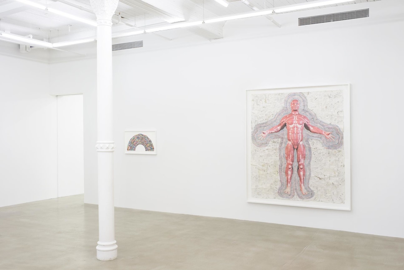 Installation view of several artworks