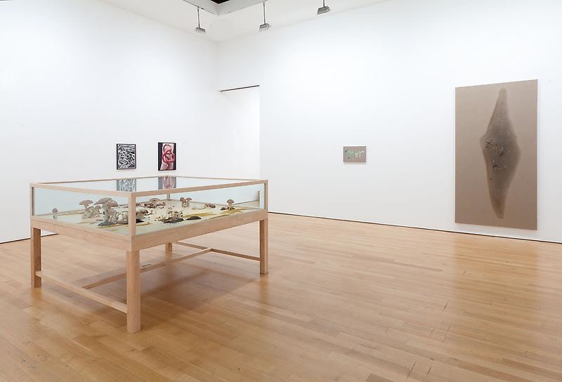 Installation view of several artworks