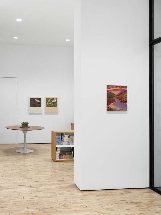 Installation view, Arcadia and Elsewhere, James Cohan, 52 Walker Street, NY, January 12 - February 10, 2024