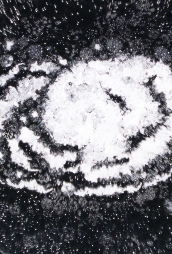 Detail of JOSIAH MCELHENY's Observation Night Six, 2019