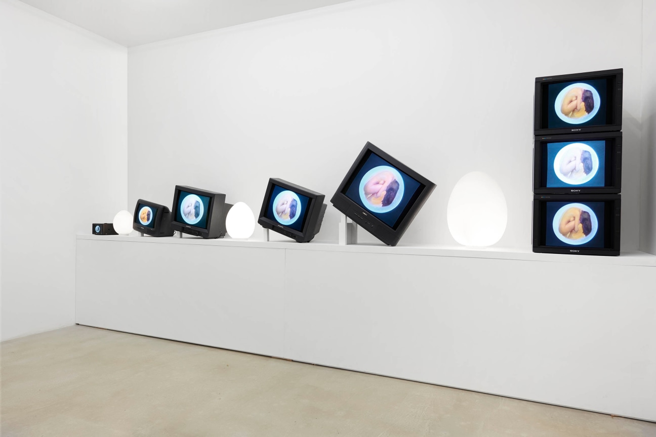installation view of an artwork