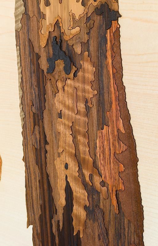 Detail of ALISON ELIZABETH TAYLOR's Into the Wild, 2012