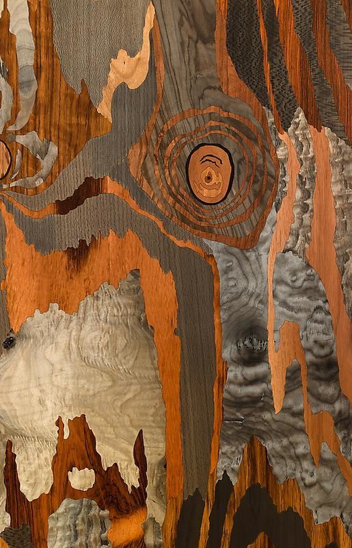 Detail of ALISON ELIZABETH TAYLOR's Silver Fox, 2013