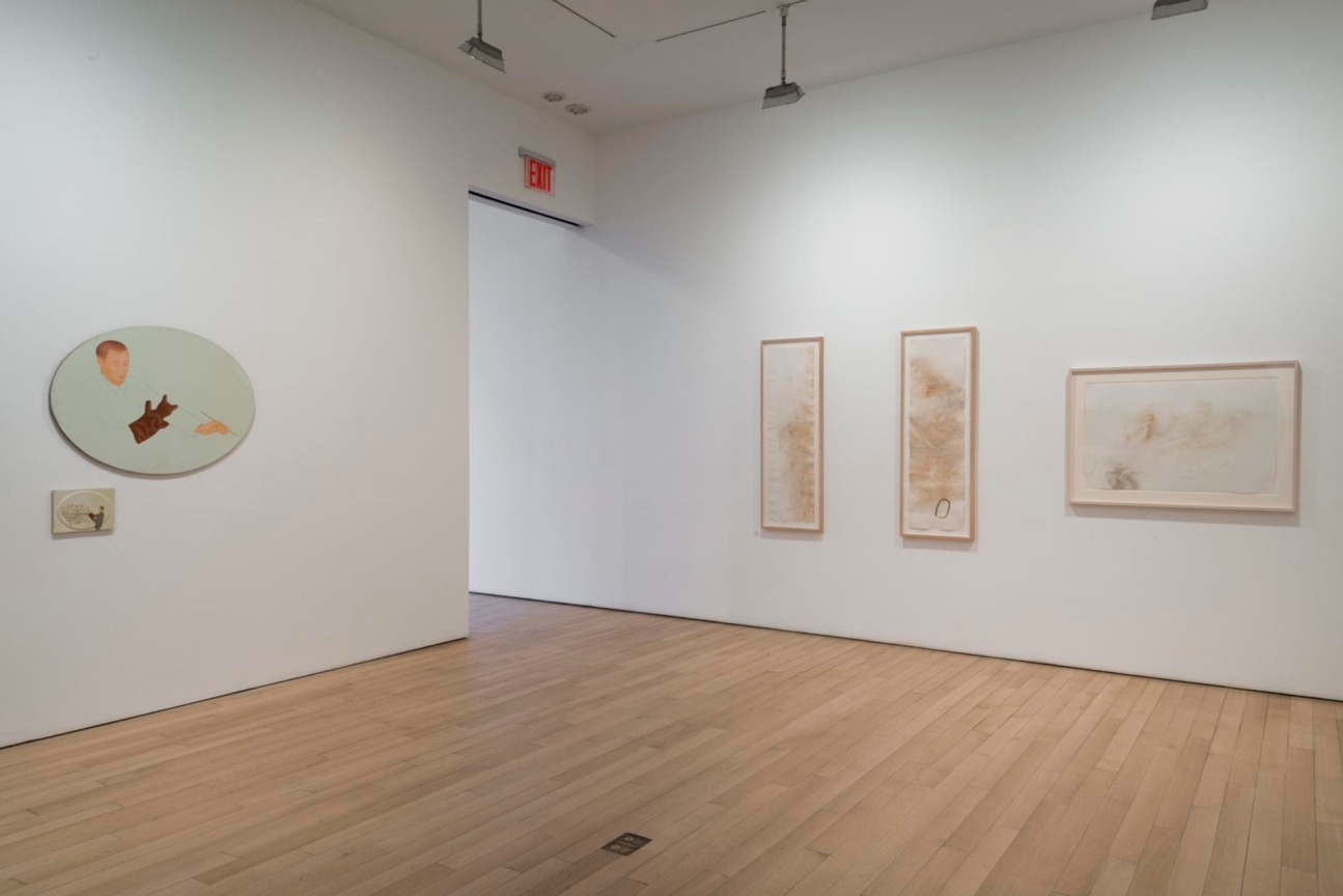 installation view of several artworks