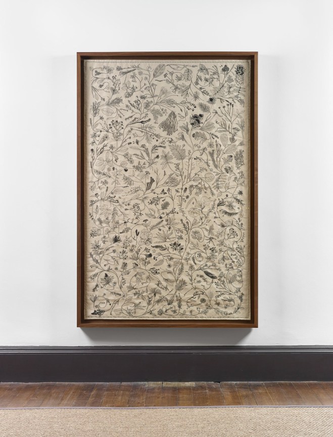 Image of KATIE PATERSON's Evergreen, 2022